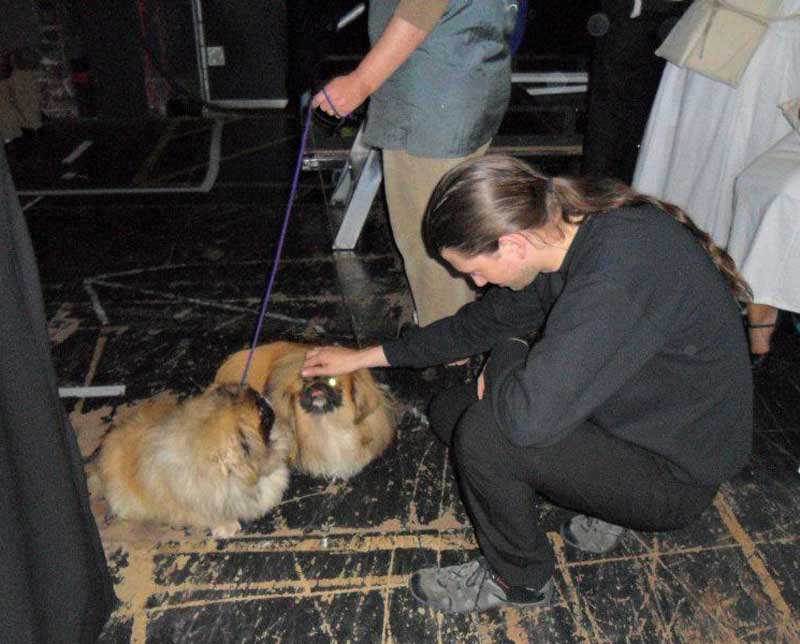 Daniel Ellis and Pekinese dogs